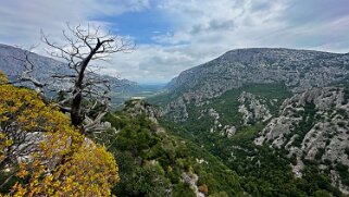 Tiscali